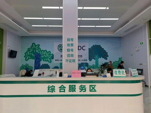 大沥预防保健门诊正式揭牌 夯实基层健康防线，推动全镇基本公共卫生服务再上新台阶