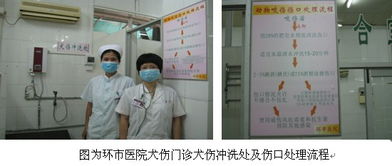 环市医院犬伤门诊正式启用 拓展社区服务版图，筑牢公共卫生防线